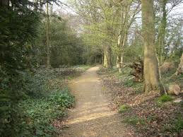 Blog - Path
