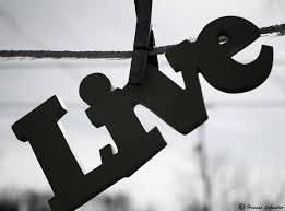 Blog - Live Life 