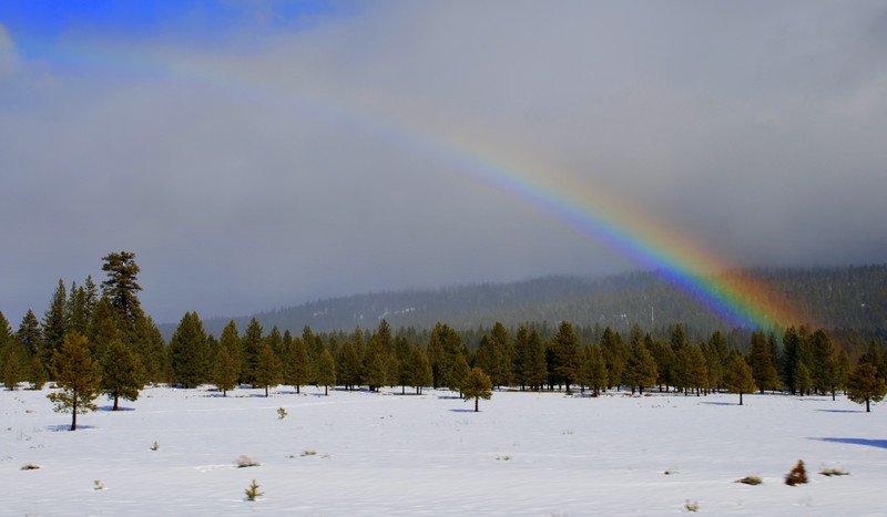 MM Blog - Rainbow & Remembering