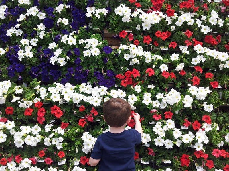 MM - Plant a Seed. Memorial Day 
