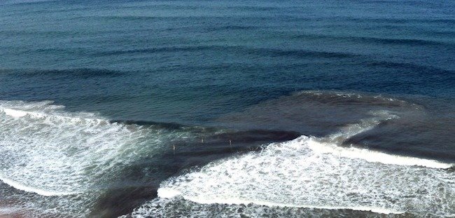MM Blog - Waves & Grief