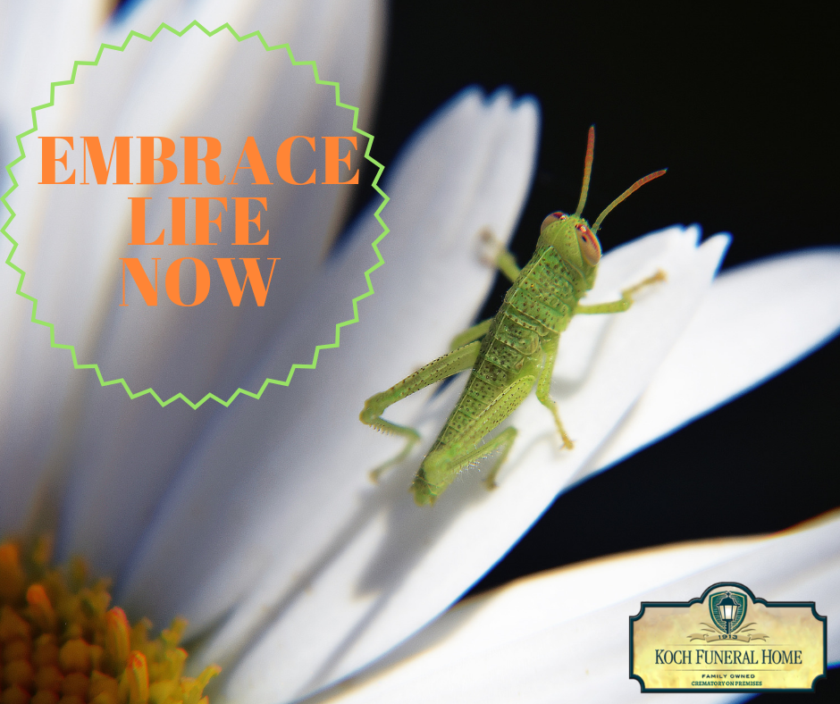2018 - FB - MM Blog - Sept - Embrace Life