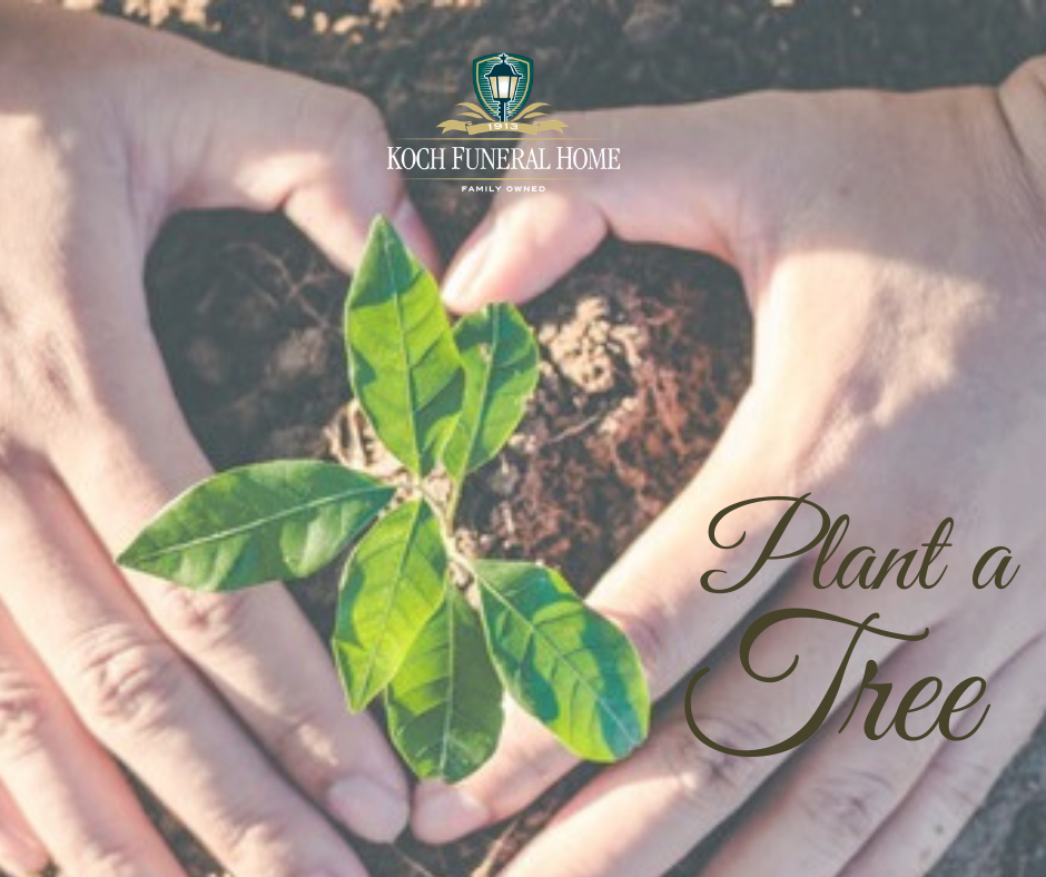 2020 - FB - Apr - Arbor Day