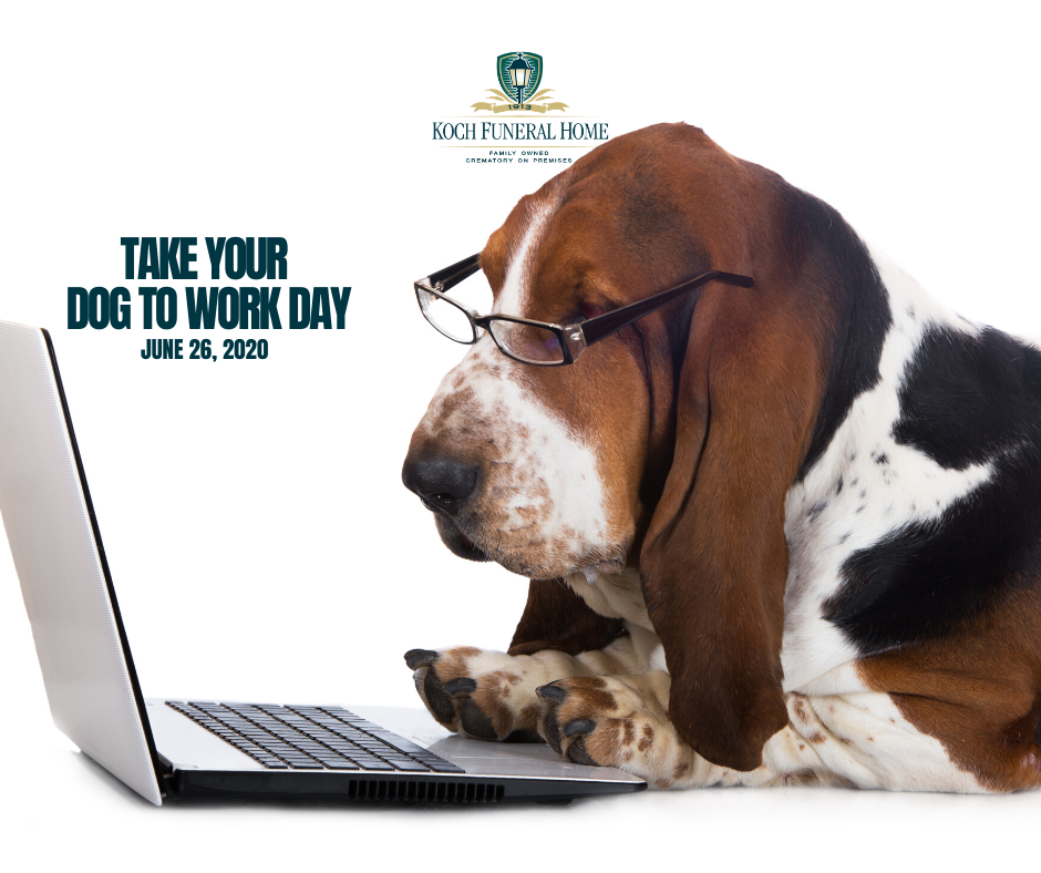 2020 - FB - June - Take Your Dog to Work Day