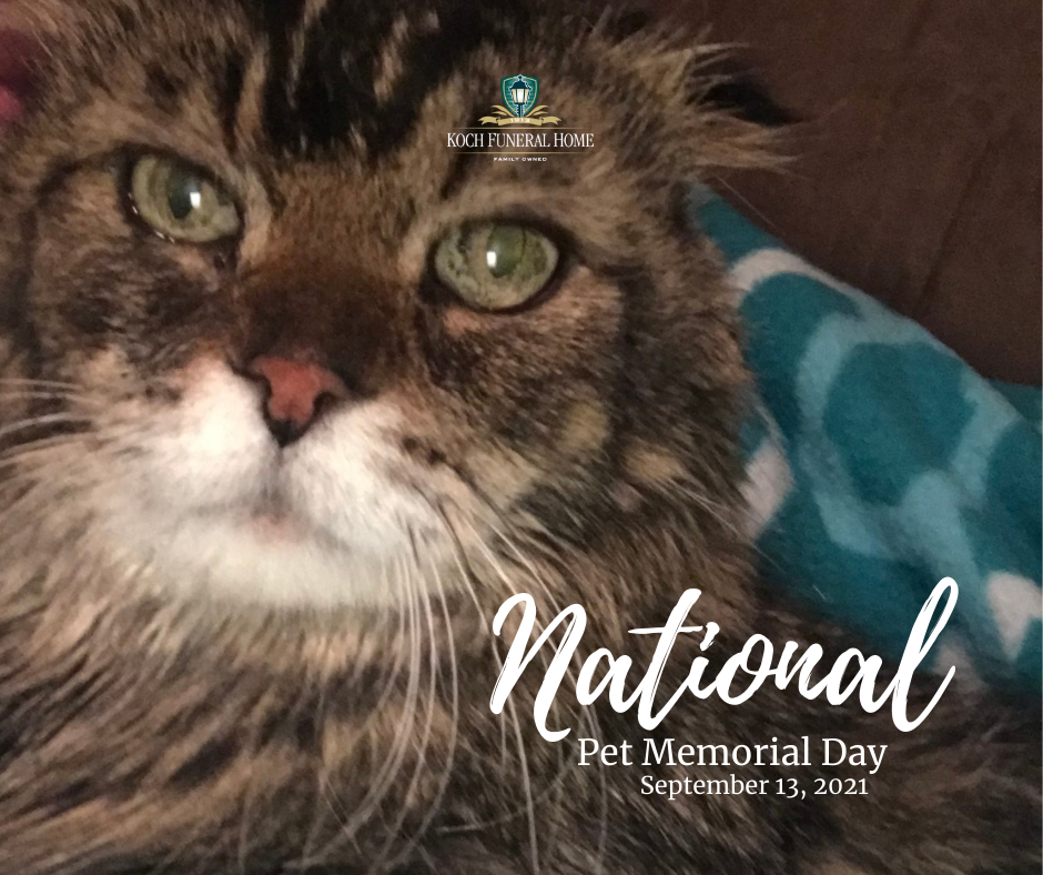 September 13 2021 ~ National Pet Memorial Day 