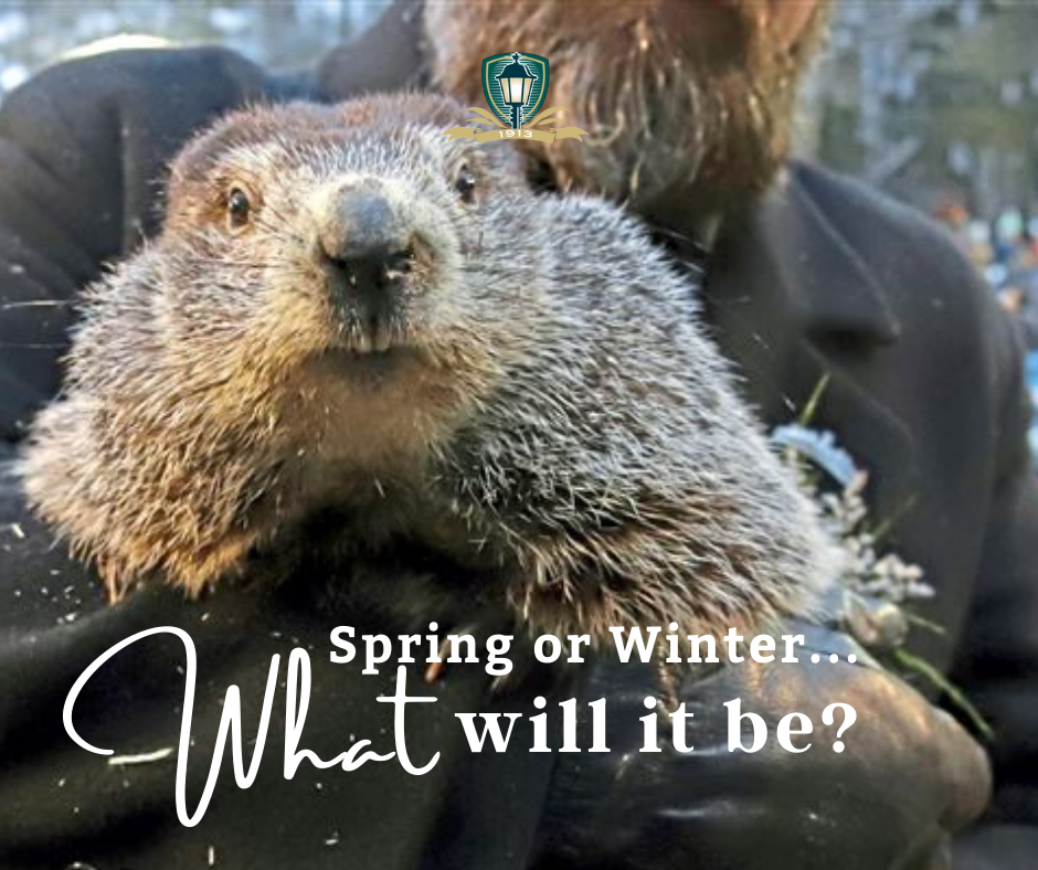 February 2 2022 - Groundhog Day 