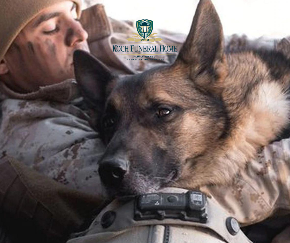 March 13 2022 - K9 Veteran's Day