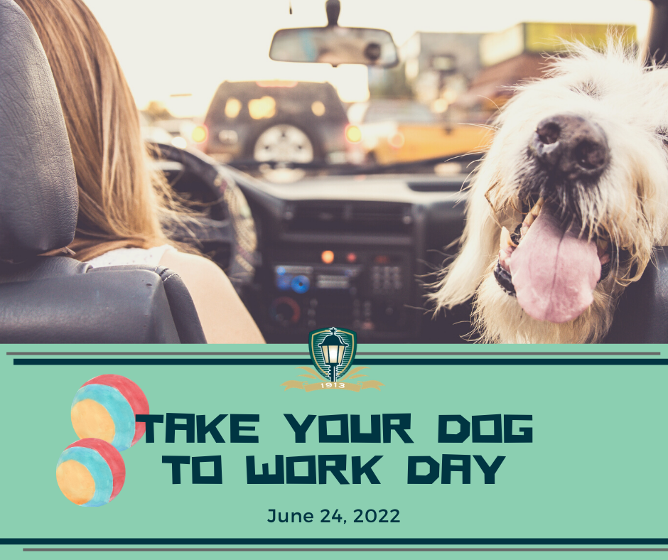 June 24 2022 - Take Your Dog to Work Day