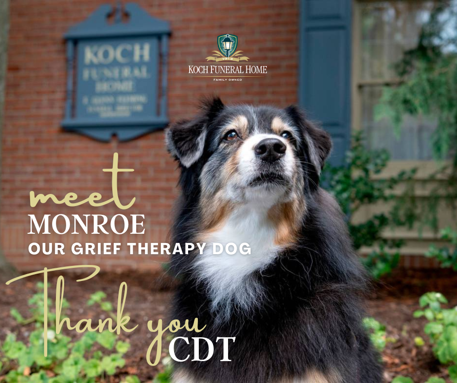 Thank you CDT!