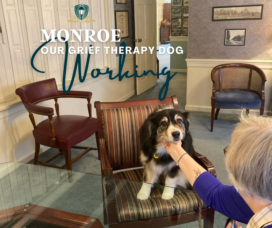 June 23 2023 - Take Your Dog to Work Day!