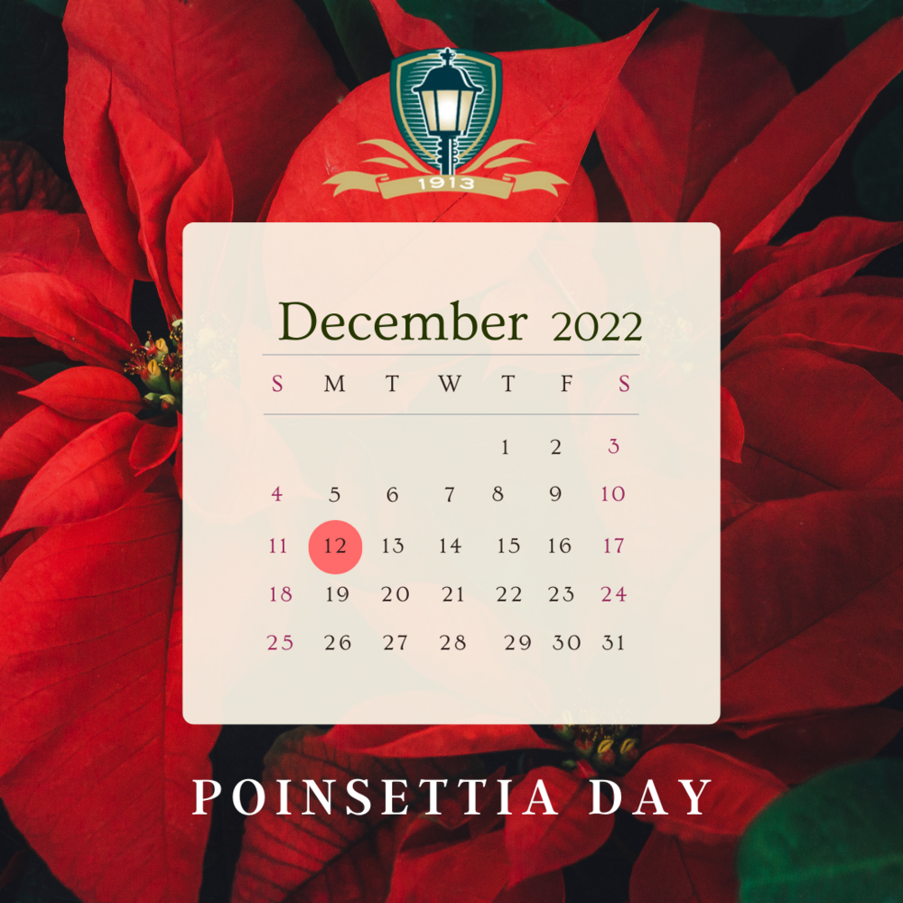 December 12 - Poinsettia Day