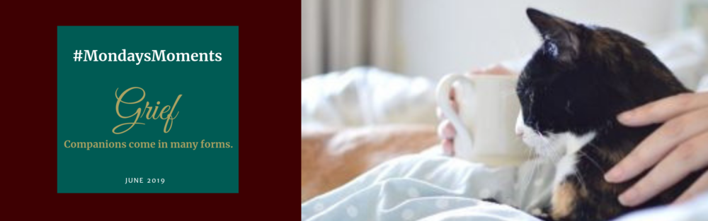 2019 - Website Banner - June - Grief. Comes in Many Forms  tiF
