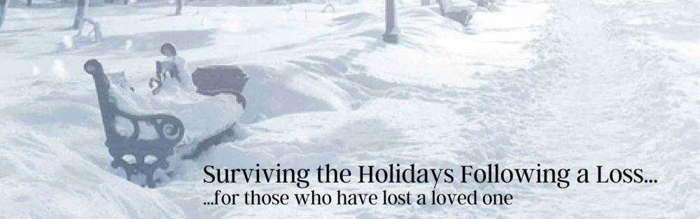 2019 - Website Banner - Nov - Surviving the Holidays