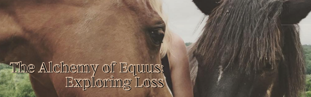 Wednesday, October 11 2023 - The Alchemy of Equus: Exploring Loss